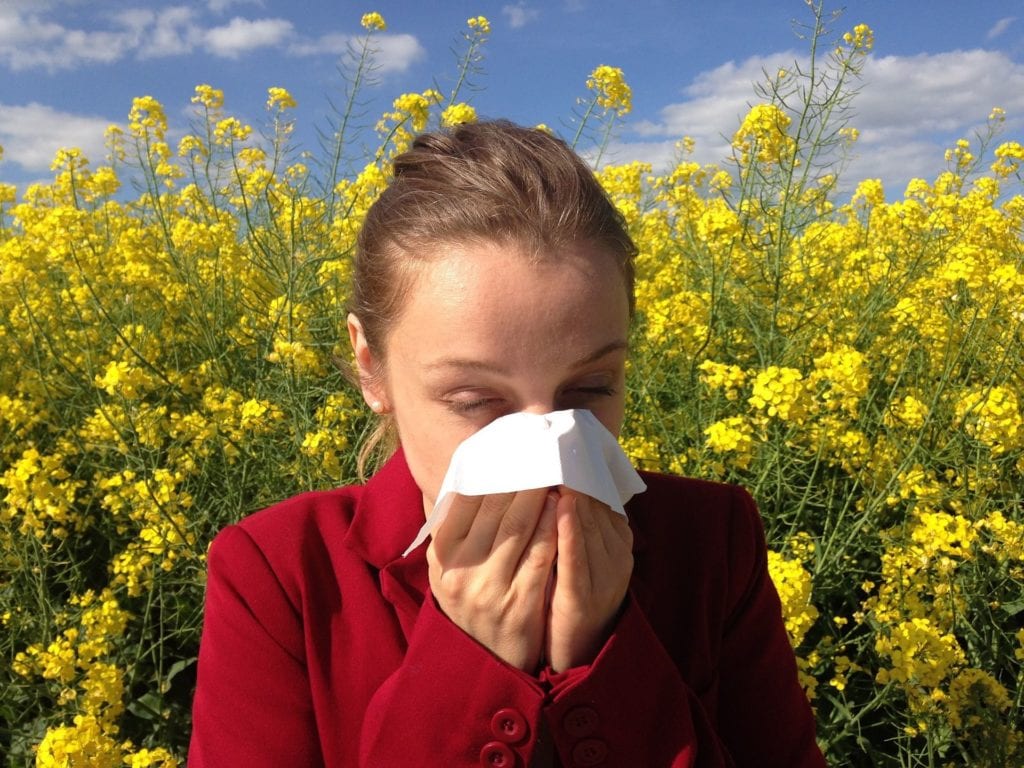 alergie na pyly, způsob jejich neutralizace a ropoznávání