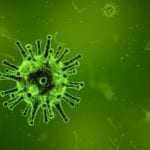 hyla vysaje virus chřipky, rýmy a koronavirus