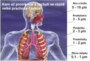 Jak se alergeny dostanou do těla