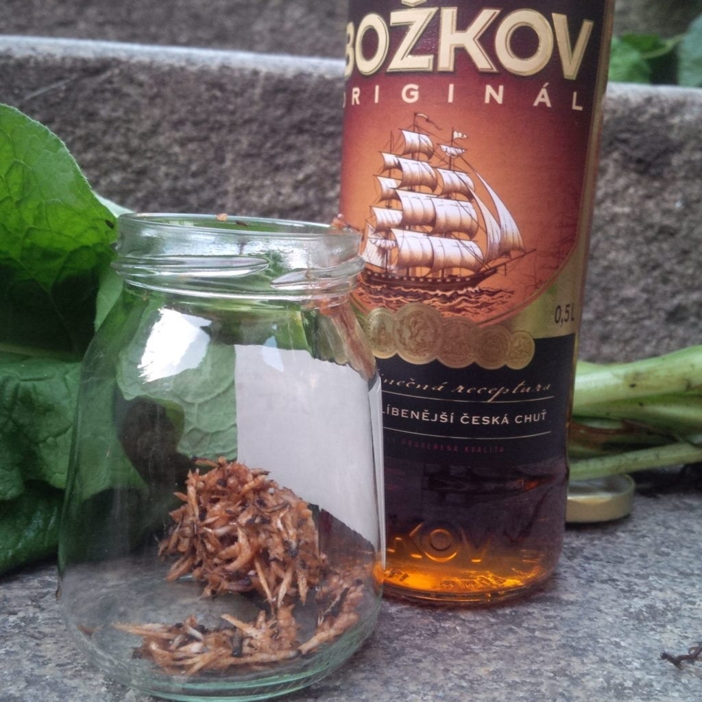 Naložení nastrouhaného kostivalového kořene do alkoholu Čistá pohoda
