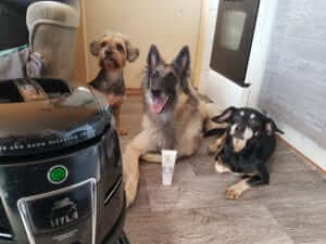 3 psi v obýváků úklid vysavač Hyla