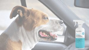 Pes v autě odstraňovač psího zápachu purodora