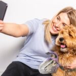 elektrický kartáč labradoodle pudl dívka