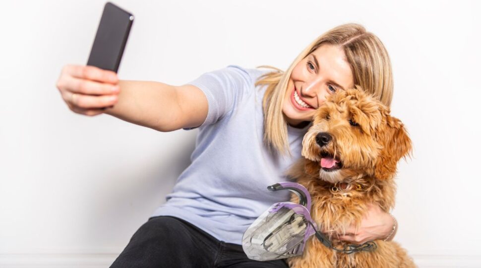 elektrický kartáč labradoodle pudl dívka