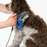 Vyčesávání pes běžné elektrický kartáč ADB Petite2