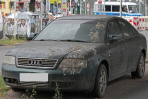 auto od trusu holubi